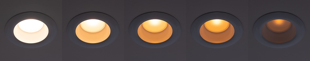 6" Dim to Warm Trims