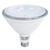 LED Par 38