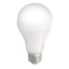 LED A bulbs