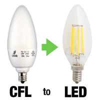 Decorative LED Bulbs