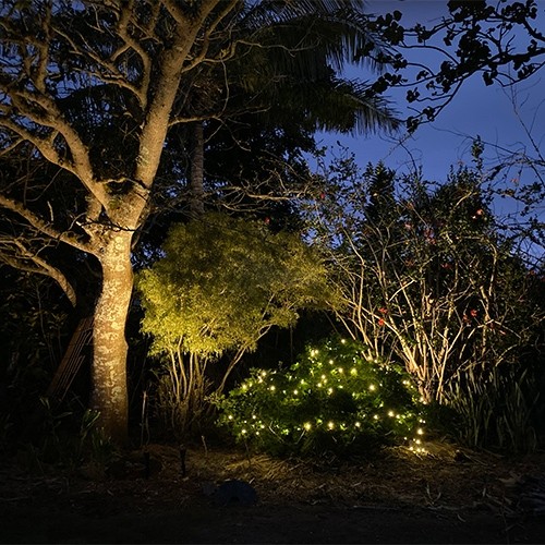 LED Christmas lights 12volts AC Specifically for Landscape systems
