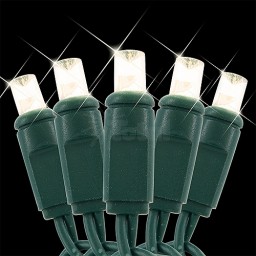 LED Christmas lights 12volts AC / DC Specifically for Landscape lighting systems