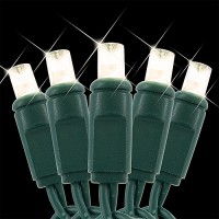 LED Christmas lights 12volts AC / DC 50ft Specifically for Landscape lighting systems