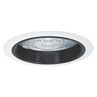 6" Recessed lighting A19 fresnel lens black baffle white shower trim