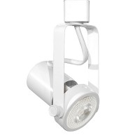 LED Gimbal WHITE track light with LED PAR20 Flood light bulb